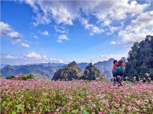 Du lịch Hà Giang mùa nào đẹp nhất?